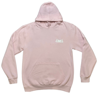 Mesquite- Pink Hoodie