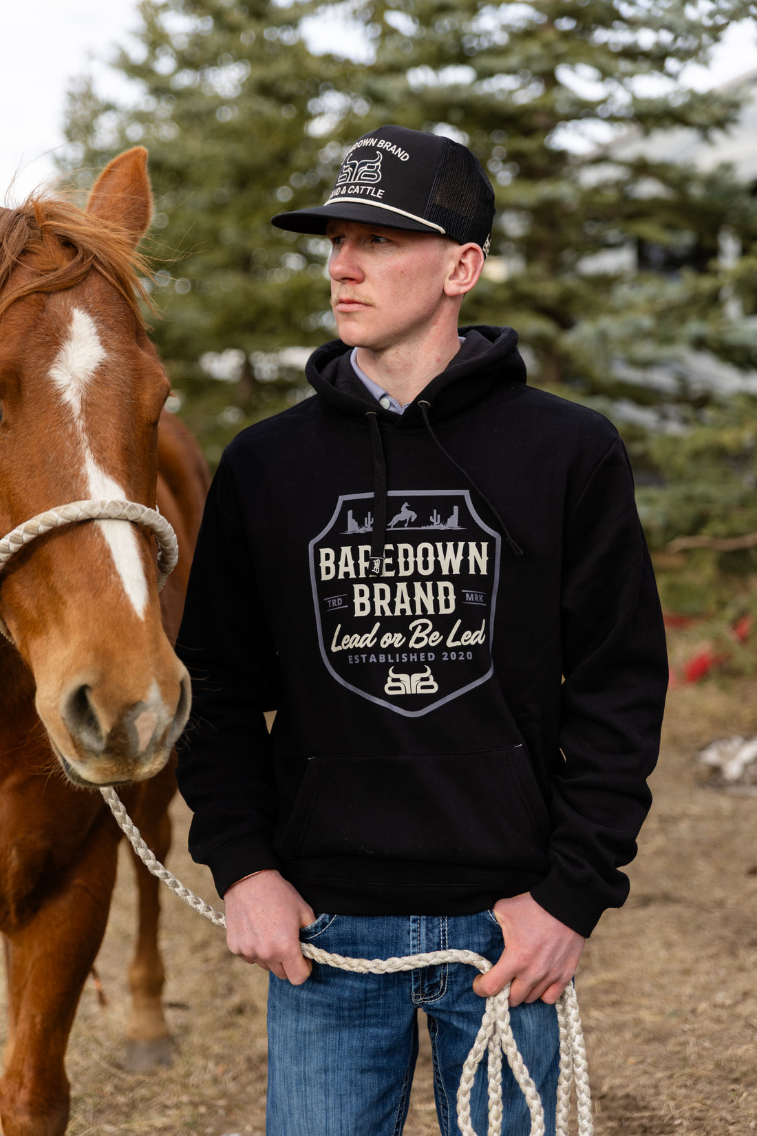 Shield- Midweight Hoodie